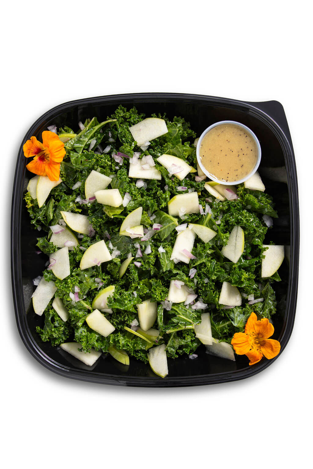 Kale Apple Salad (GF)